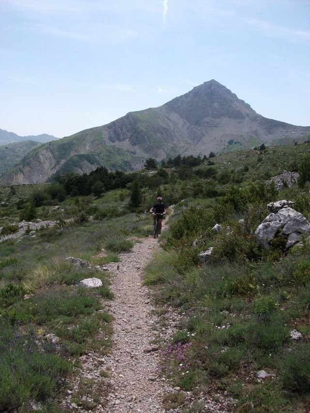 chiran__13_07_2010_34.jpg