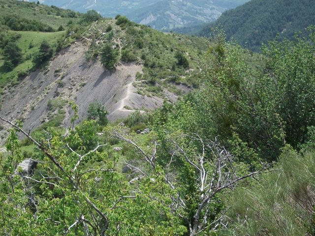 chiran__13_07_2010_37.jpg