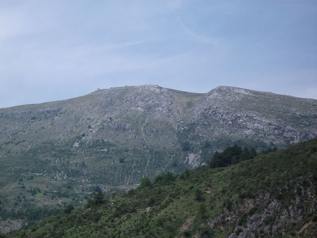 chiran__13_07_2010_39.jpg