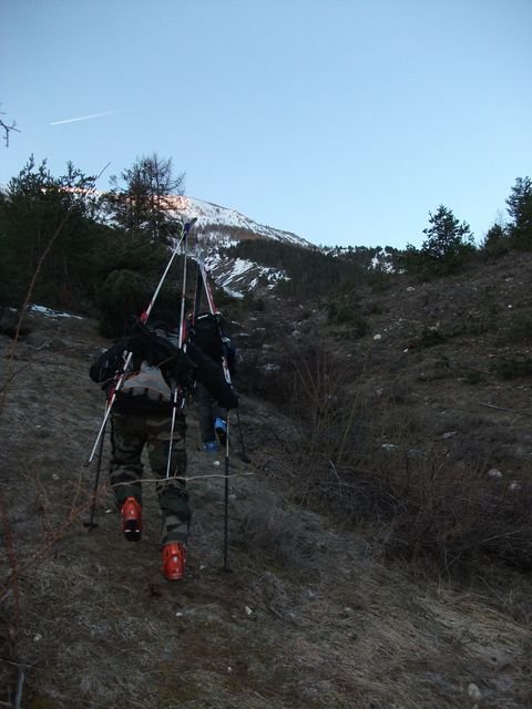 cordoeil_04_2010_13.jpg