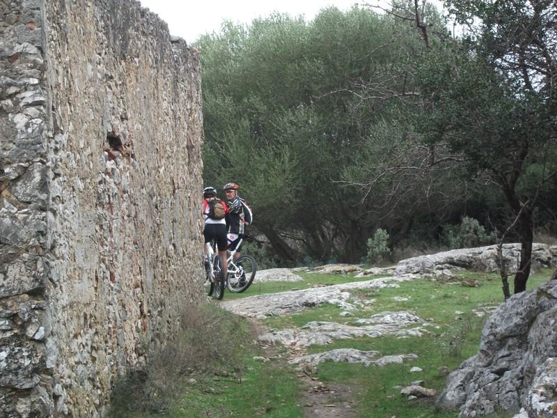 coudon-dardennes_12.jpg