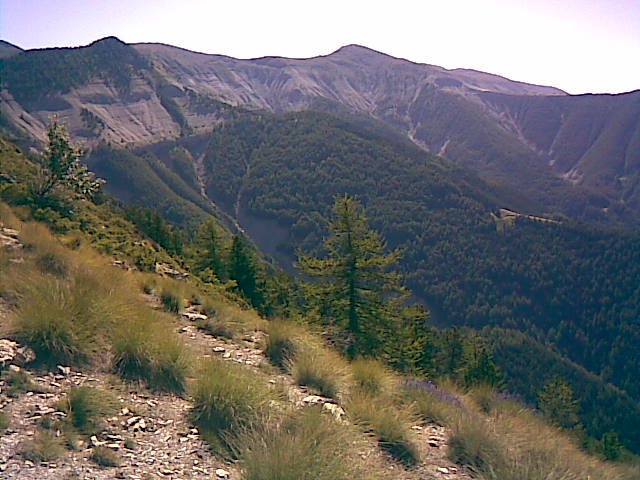 couguyon_orgeas_03.jpg