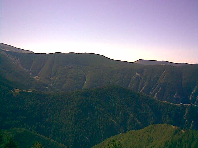 couguyon_orgeas_05.jpg