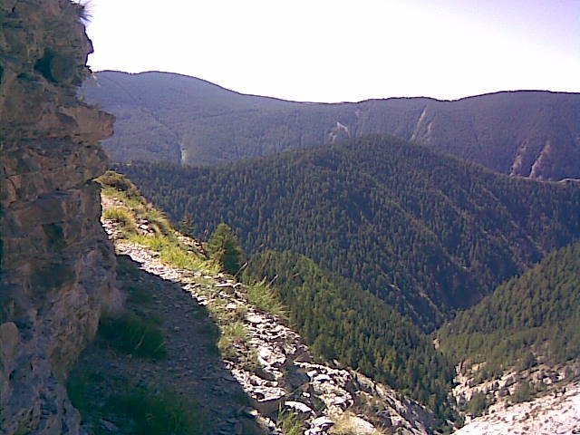 couguyon_orgeas_06.jpg