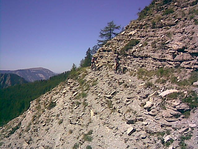 couguyon_orgeas_07.jpg