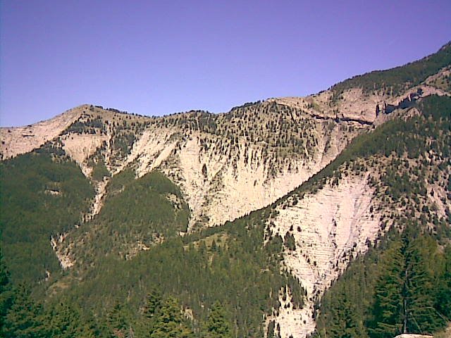 couguyon_orgeas_08.jpg