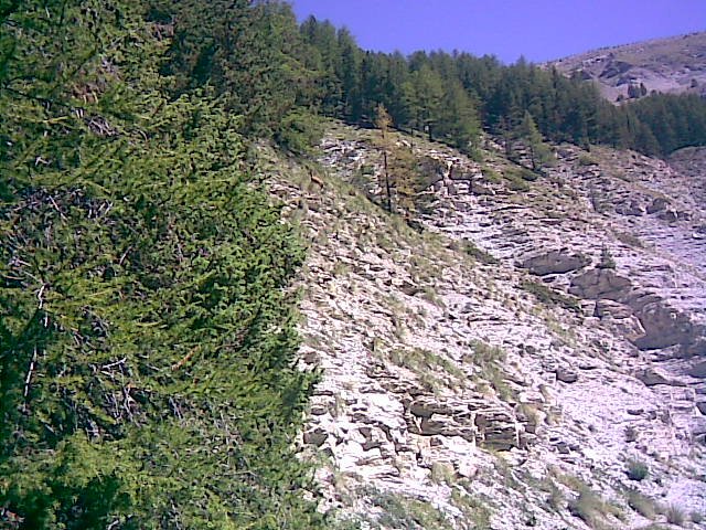 couguyon_orgeas_09.jpg