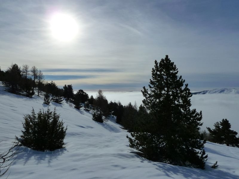 couradour_dec_2010_37.jpg