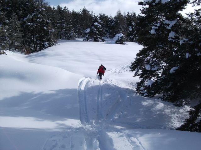 courradour_fevrier_2010_j_34.jpg