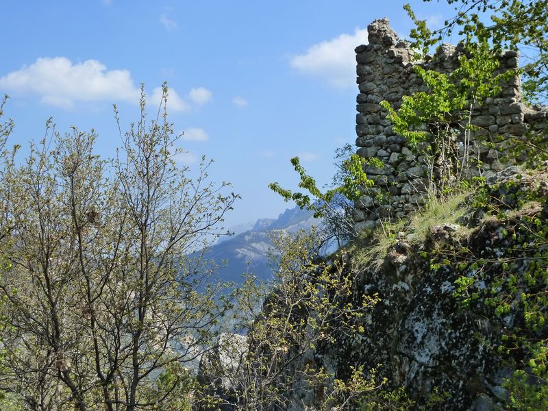 creisset_2011_64.jpg
