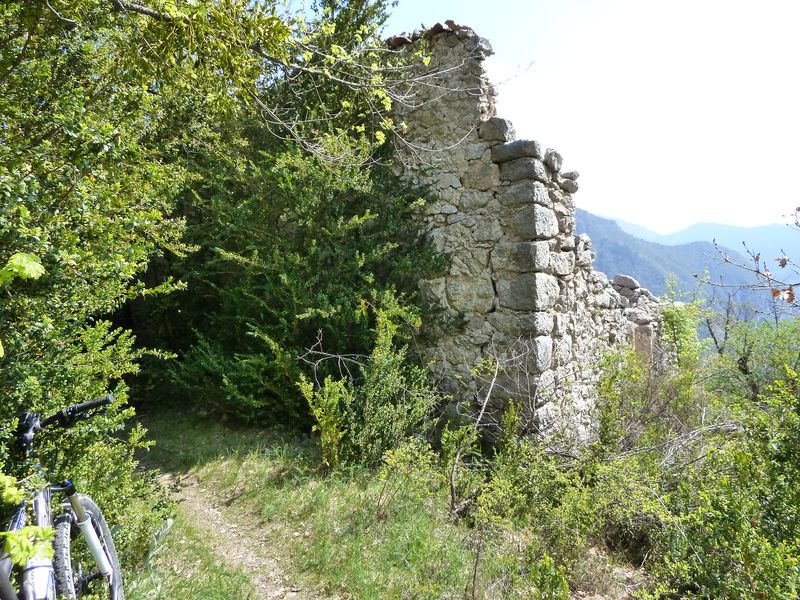 creisset_2011_70.jpg