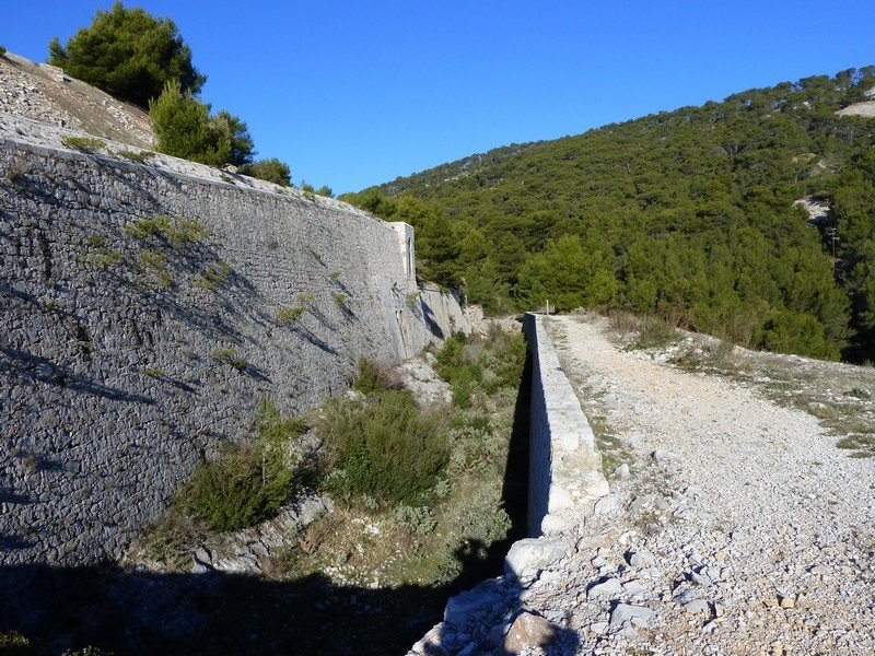 faron_03_12_10_008.jpg