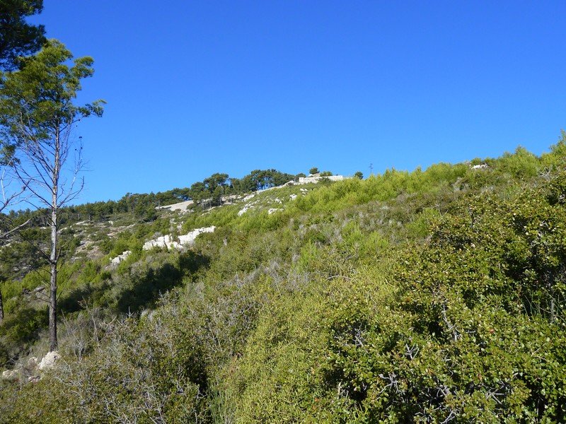 faron_03_12_10_012.jpg