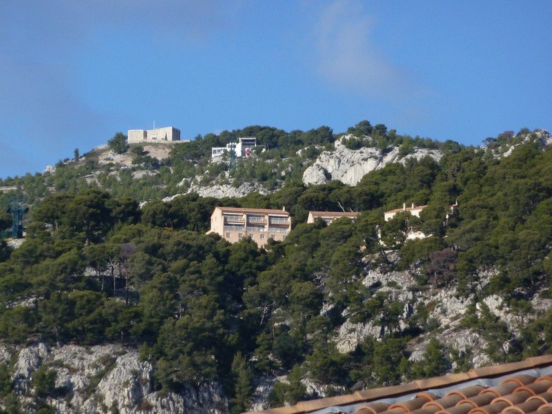 faron_24_11_2010_001.jpg