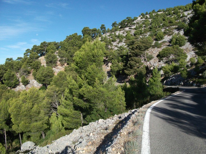 faron_26_09_2010_04.jpg