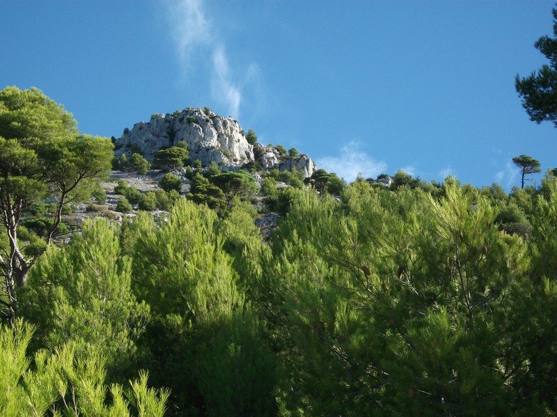 faron_26_09_2010_05.jpg