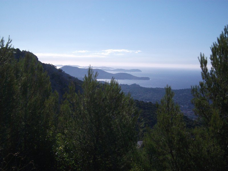 faron_26_09_2010_24.jpg