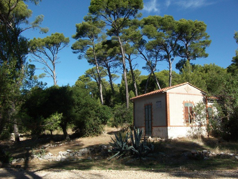 faron_26_09_2010_41.jpg