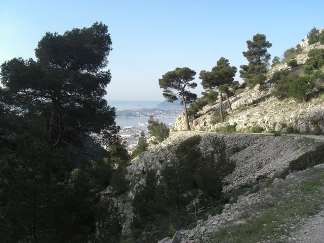 faron_classique_11.jpg