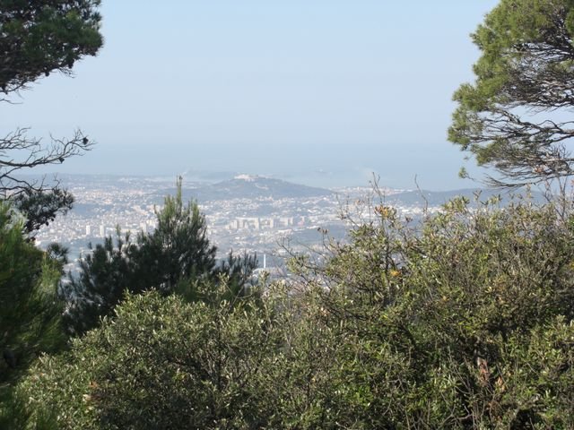 faron_classique_39.jpg