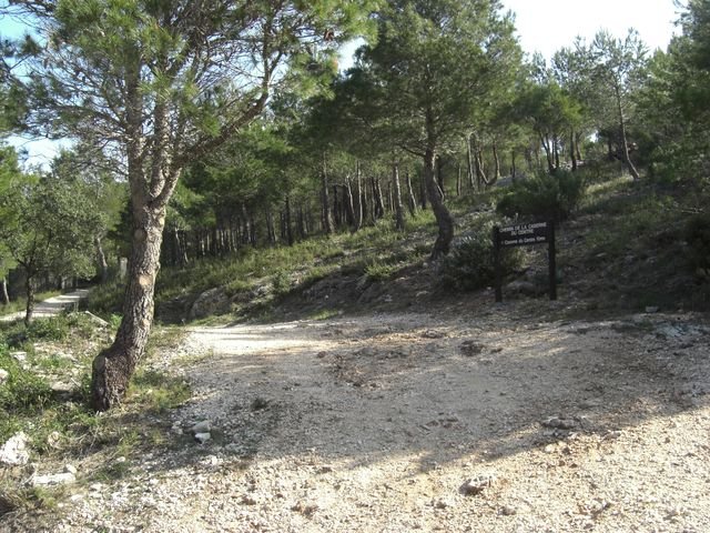 faron_classique_48.jpg