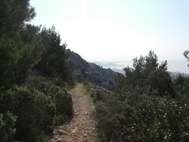 faron_classique_58.jpg