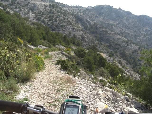 faron_classique_62.jpg