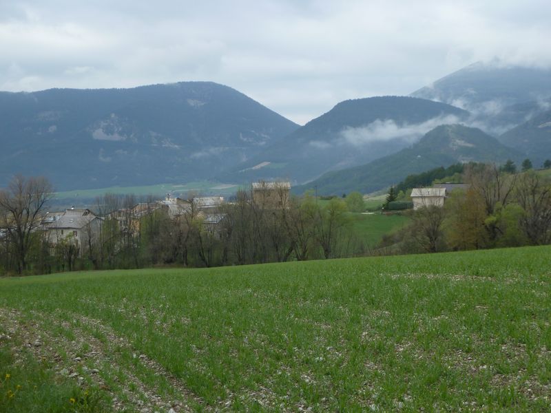 font_blanche_avril_2011_02.jpg