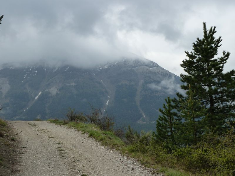 font_blanche_avril_2011_05.jpg