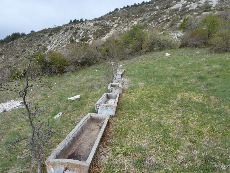 font_blanche_avril_2011_31.jpg