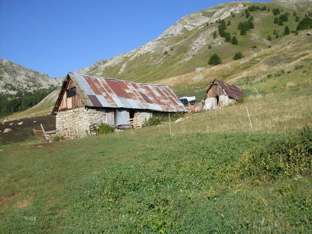 foux_seignus_04.jpg