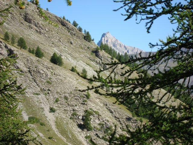 foux_seignus_09.jpg