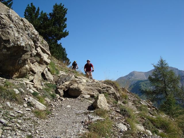 foux_seignus_10.jpg