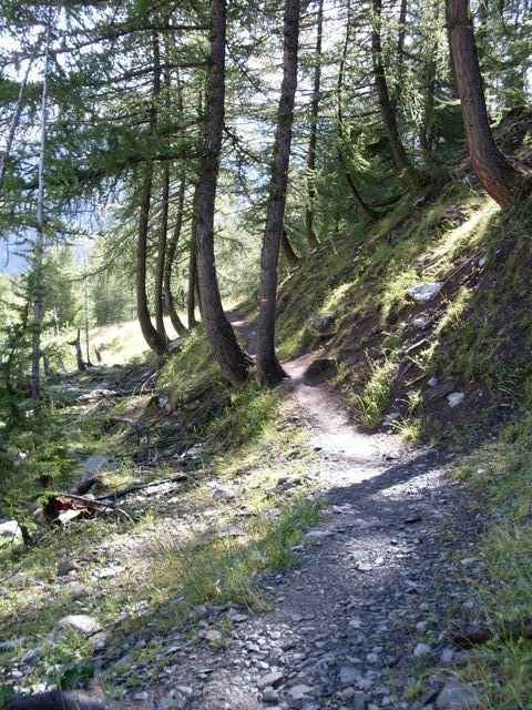 foux_seignus_17.jpg