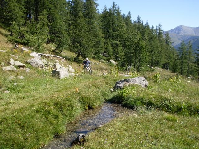 foux_seignus_24.jpg