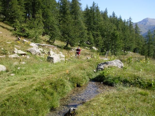 foux_seignus_26.jpg