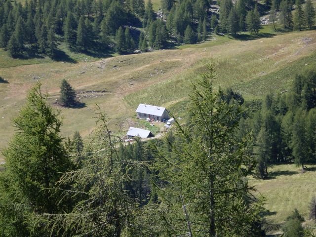 foux_seignus_31.jpg