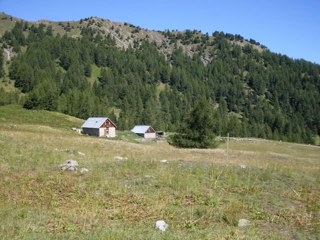 foux_seignus_35.jpg