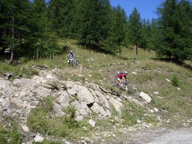 foux_seignus_36.jpg
