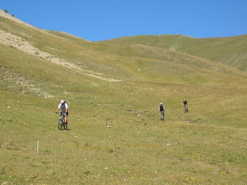 gros_tapy_chasse_36.jpg