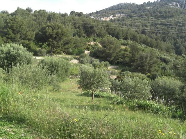 le_coudon_04.jpg