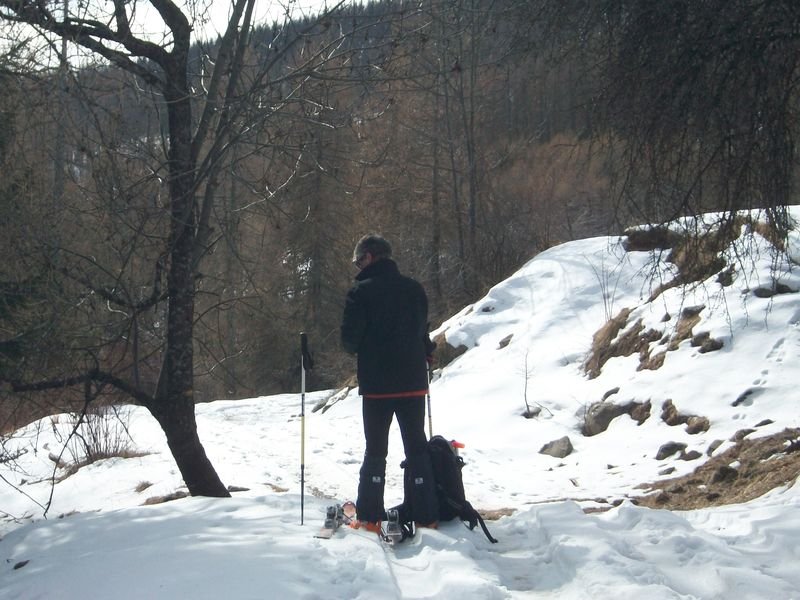 le_puy-ours_mars_2011_11.jpg