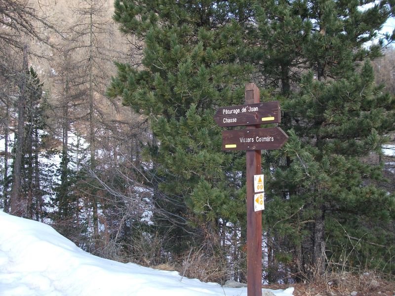le_puy-ours_mars_2011_18.jpg