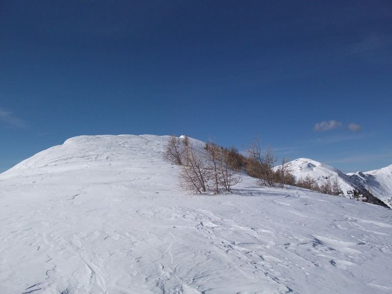 le_puy-ours_mars_2011_33.jpg