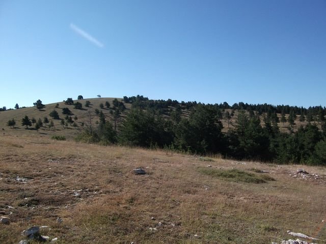 maurel_07.jpg