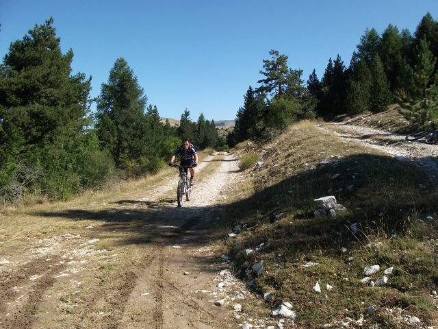 maurel_12.jpg