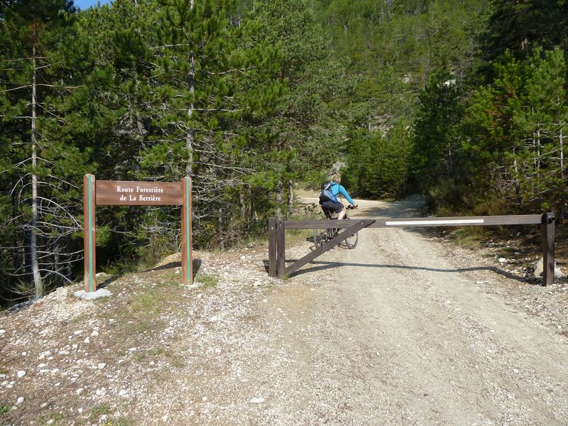 maurel_avril_2011_03.jpg
