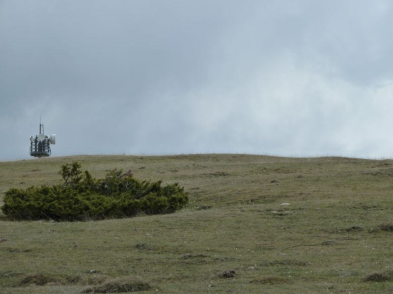 maurel_avril_2011_21.jpg