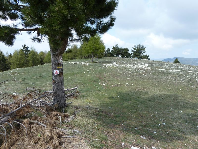 maurel_avril_2011_30.jpg