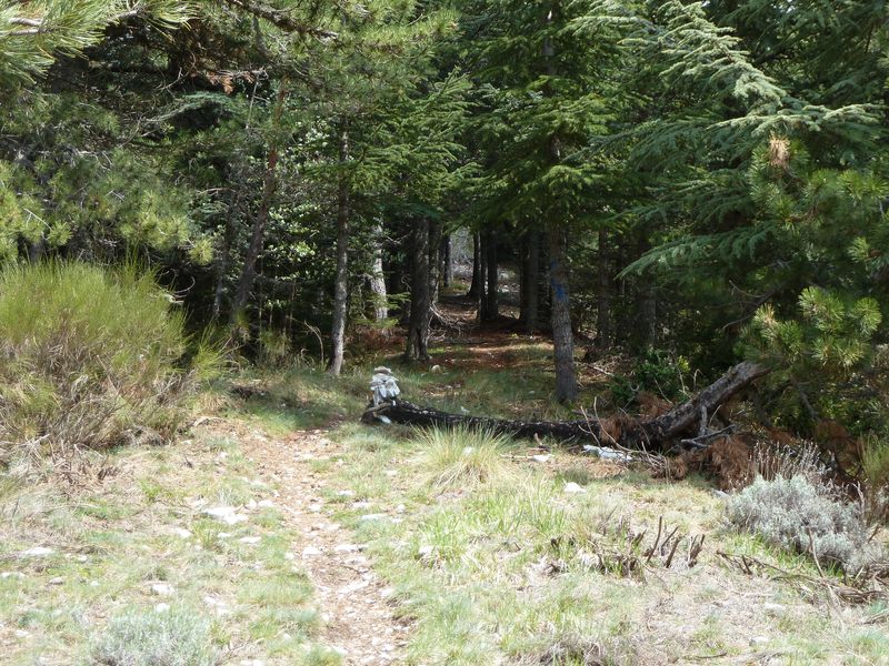 maurel_avril_2011_38.jpg